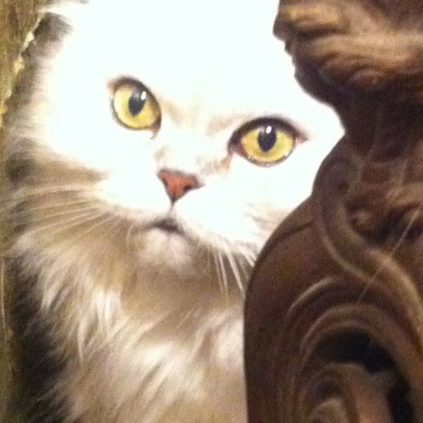 Ольга Шалагина