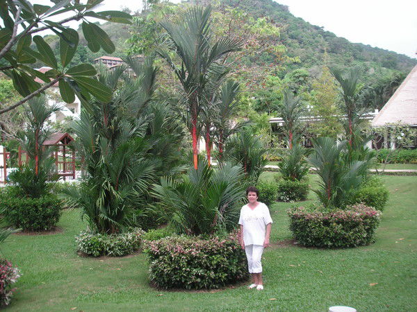 Галина Баталина