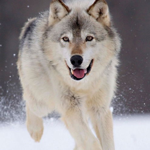 Ерболат Жексембаев