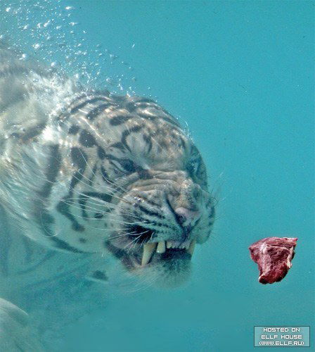 Роман Федулов