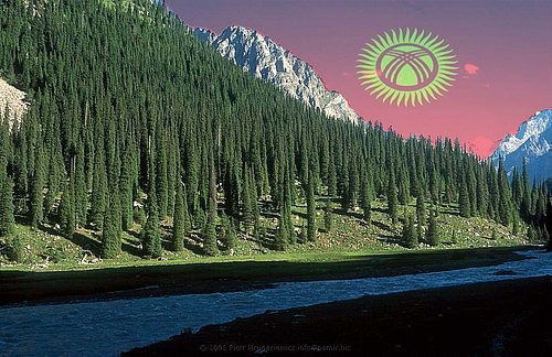 Суйоркулов Азамат