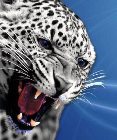 Эльдар Дадабаев