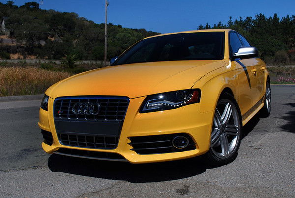 Виктория Шелковская