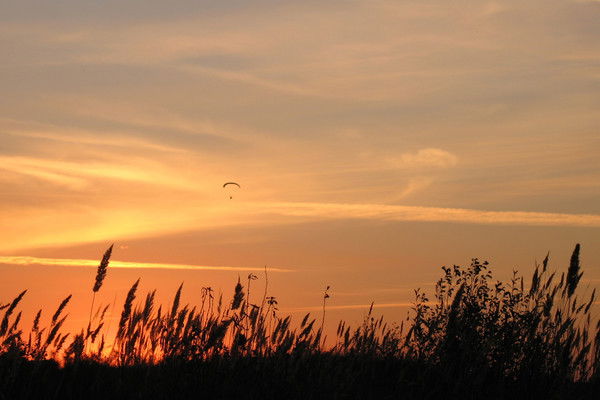 Тамара Батчаева