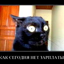 Дарья Толокольникова