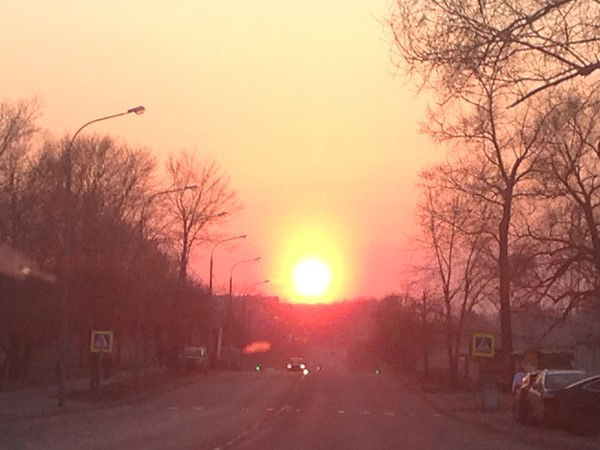 Алена Васильева