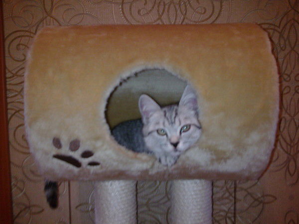 Наталья Бубашнева