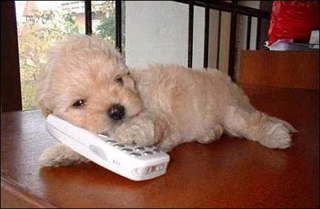 Екатерина ***********