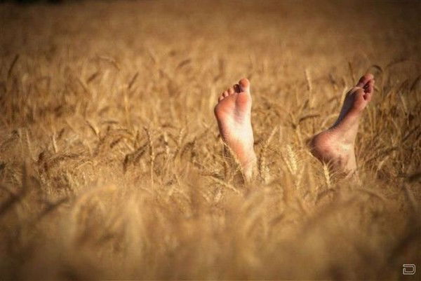 Александр Ревякин