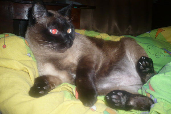 Екатерина Фёдорова