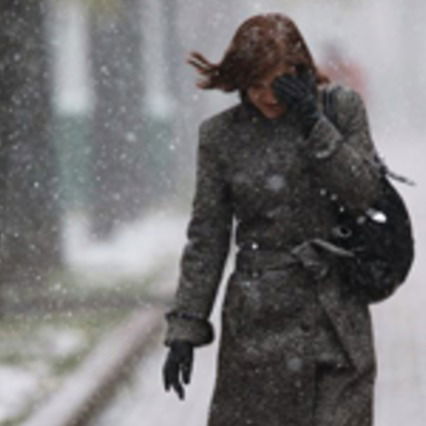 Алла Холошина