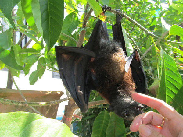 Симона Хайдкрюгер