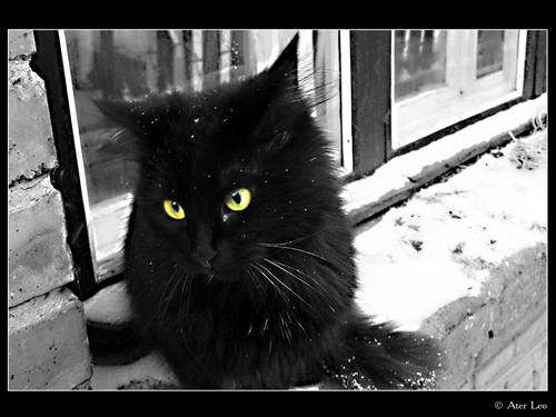 Марина Малышева