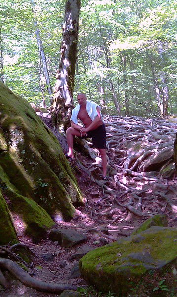 Дмитрий Страхов