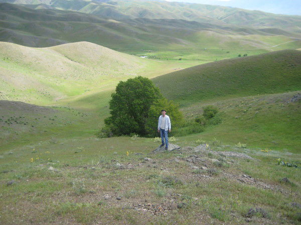 Сауран Оразкулов