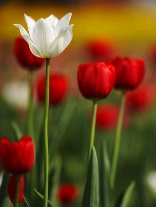 Татьяна Неважно