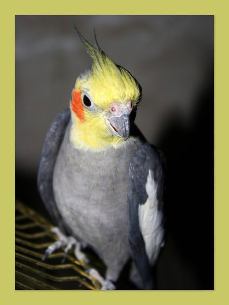 Юля Егорова