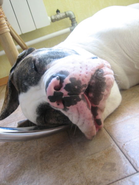 Сергей Костин