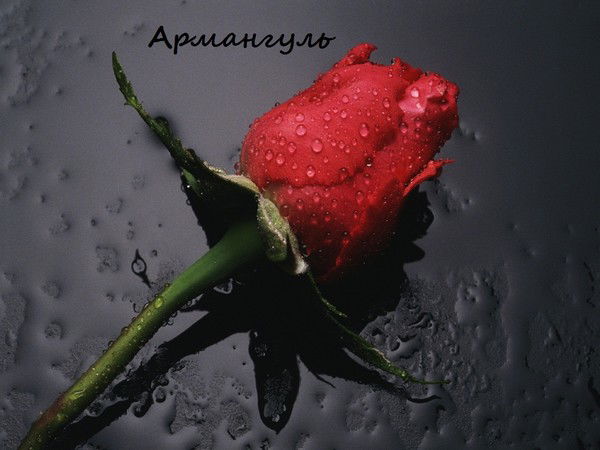 Армангуль Жаканова