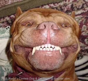 Сергей Морозов