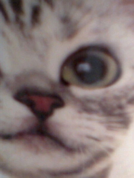 Дмитрий Костюнин