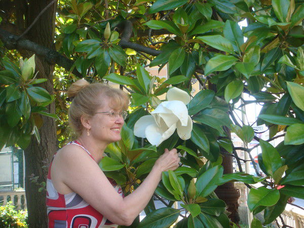 Лаура Арион