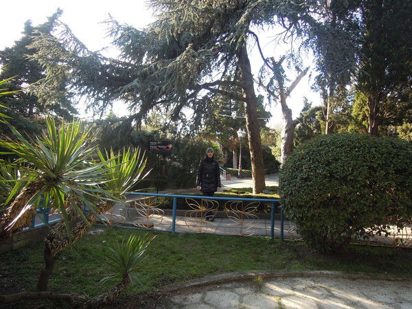 Марина Сотник