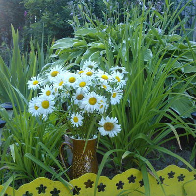 Наталья Перова