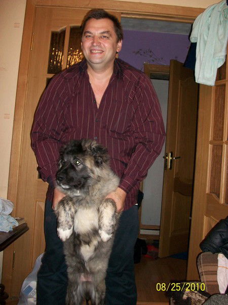 Алексей Волков