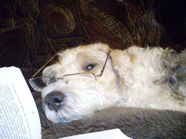 Лариса Федоренко