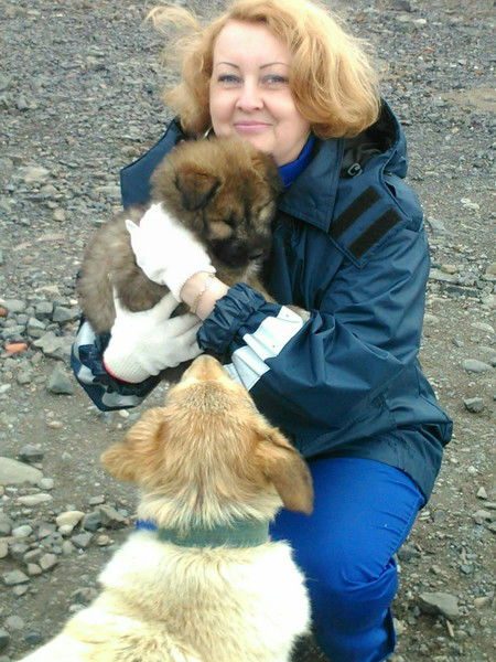 Наталья Шевцова