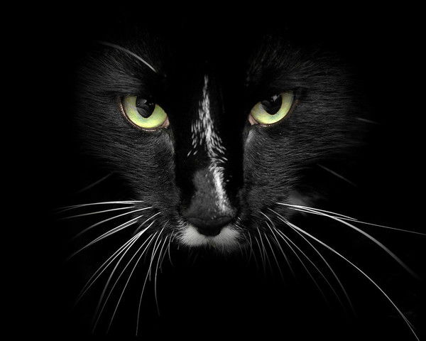 Наталья Киященко