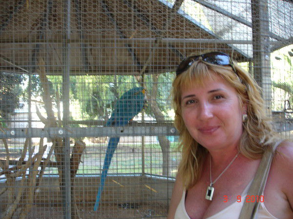 Альбина Петрова