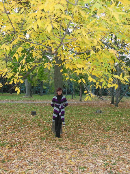 Светлана Суркова