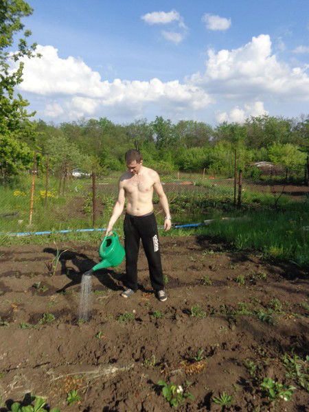 Александр Вильтовский