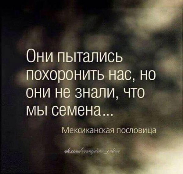 Евгений Степаненков