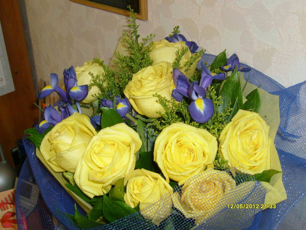 Томоська Кавалжи