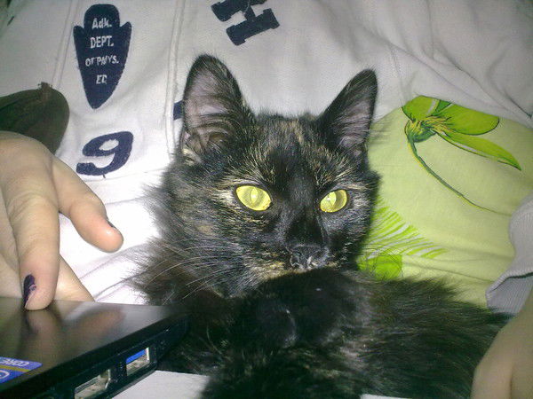 Ирина Куцарова