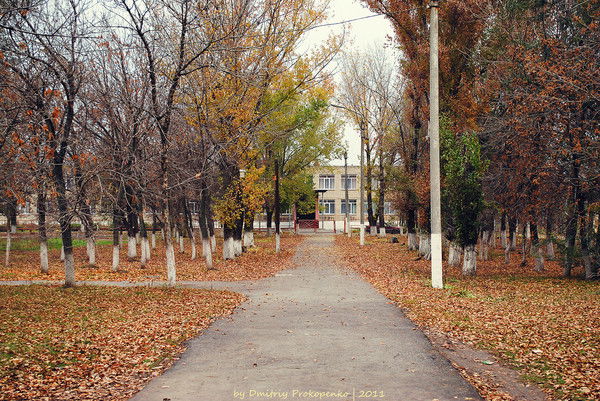 Петр Минаев