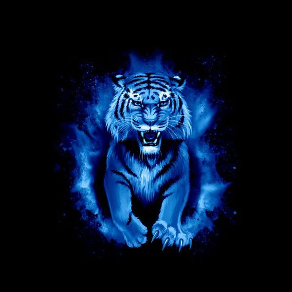 Владимир Ввд