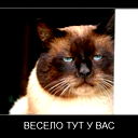 Виктор Держанский
