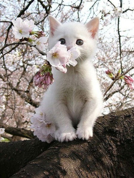 Любовь Пономаренко