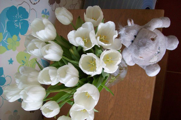 Елена Анахина