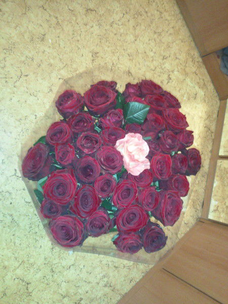 Елена Свиридова