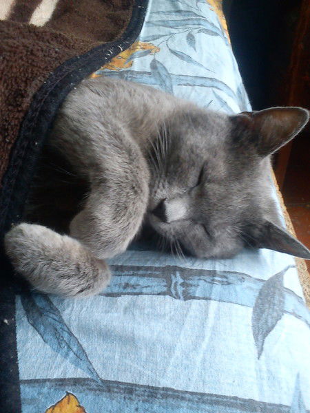 Тина Любченко