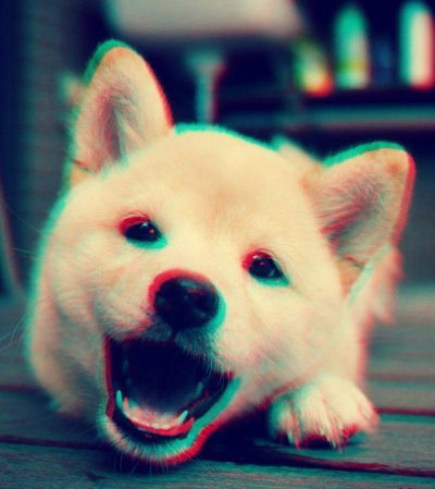 Сергей Колодин