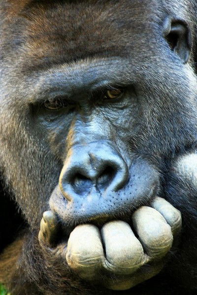 Сергей Викторович