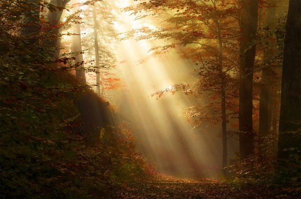 Ира Бадамянц