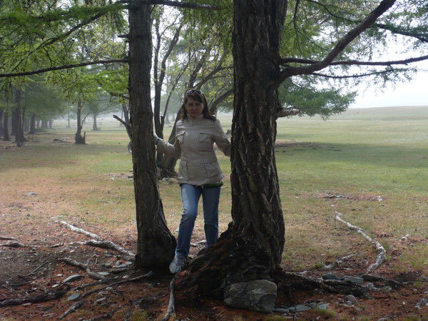 Дарья Цыганкова