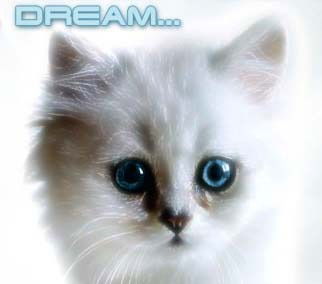 Лариса Фирсова